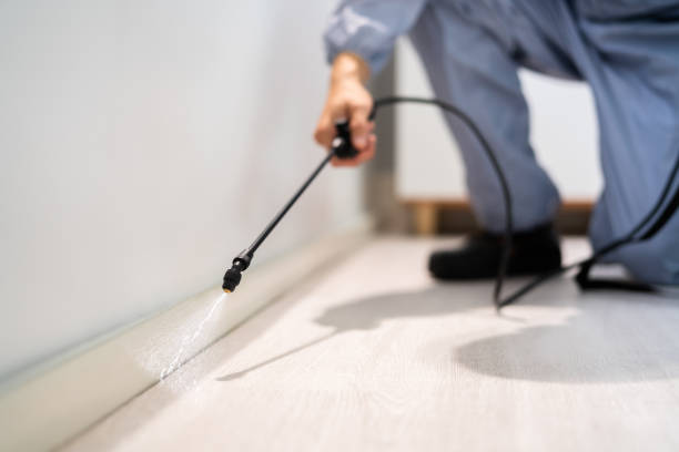 Licensed Termite Control service in Jackson, LA - Nex Pest Control