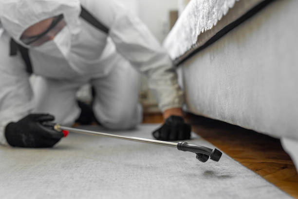Professional Termite Control technician working in Jackson, LA