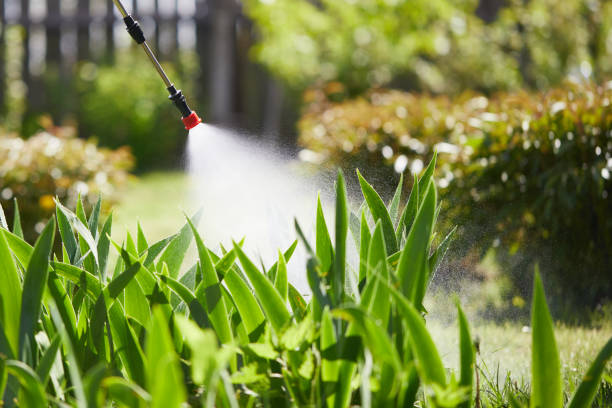 24/7 Emergency Termite Control experts in Jackson, LA