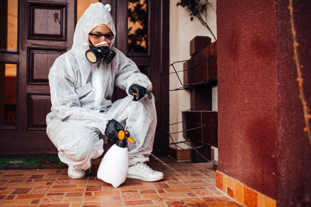 Reliable Termite Control contractor in Jackson, LA by Nex Pest Control