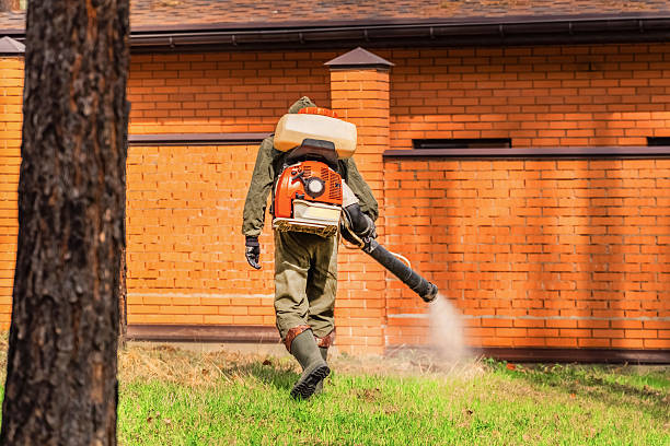 Top rated local Termite Control specialists in Jackson, LA